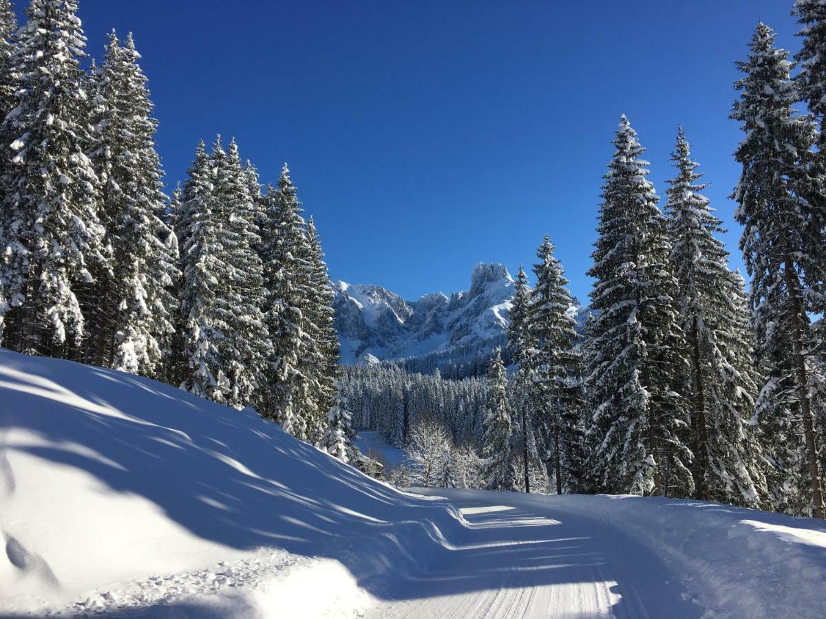 Apartment Kraemerhaus Annaberg, Dachstein West Zewnętrze zdjęcie